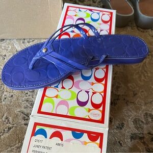 Coach Juney Patent Periwinkle Size 10 NIB